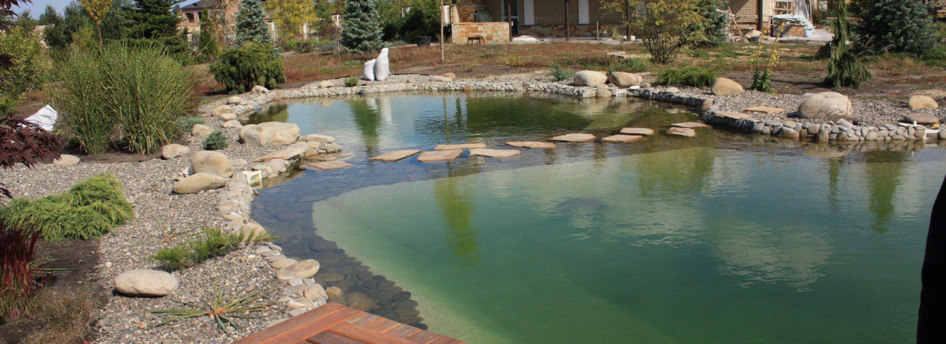 Amazing natural swimming pool design